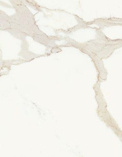 BathroomsByDesign Overview