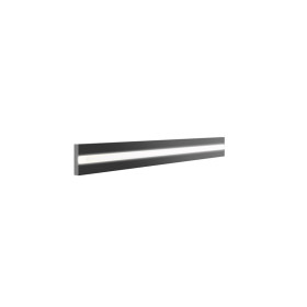 IFLED50.jpg
