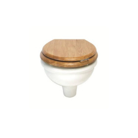 IMPERIAL_ETOILE_WALL_HUNG_TOILET.jpg
