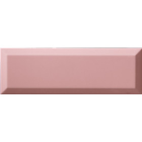 rosa-f-brillo_10x30.jpg