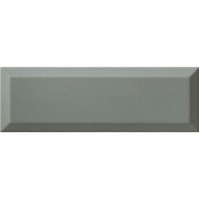 sage-brillo_10x30.jpg