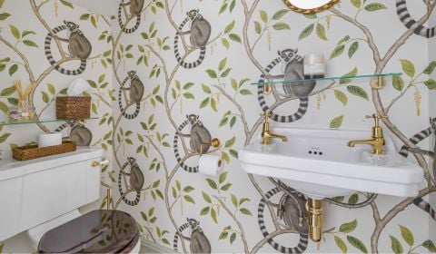 360° View - Gilded Lemurs: A Boutique Cloakroom